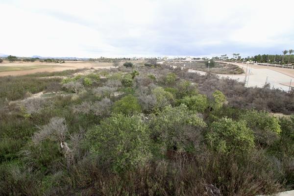 Image No.9-Terre à vendre à Hacienda del Alamo