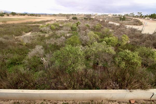 Image No.11-Terre à vendre à Hacienda del Alamo