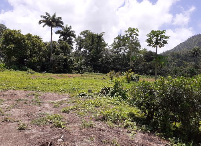 Image No.6-Commercial de 5 chambres à vendre à Saint Joseph