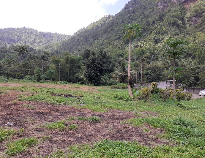 Image No.7-Commercial de 5 chambres à vendre à Saint Joseph