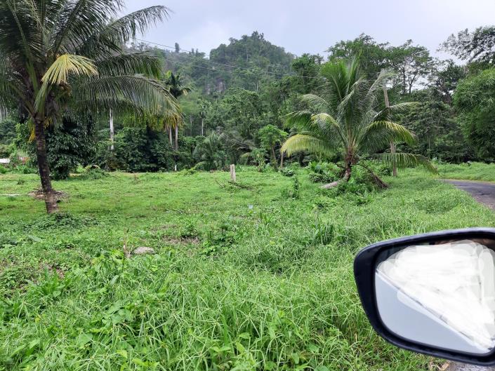 Image No.10-Commercial de 5 chambres à vendre à Saint Joseph