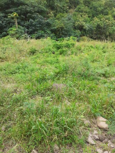 Image No.3-Land for sale