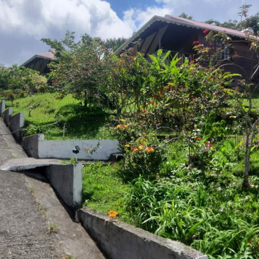 Image No.25-7 Bed Cottage for sale