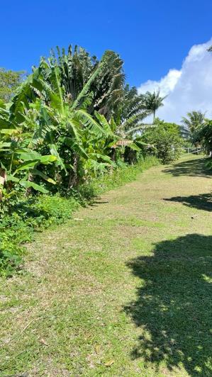 Image No.30-7 Bed Cottage for sale