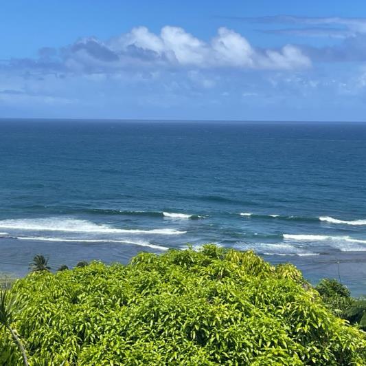 Image No.16-4 Bed House/Villa for sale