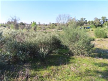 1 - Castelo Branco, Propriété