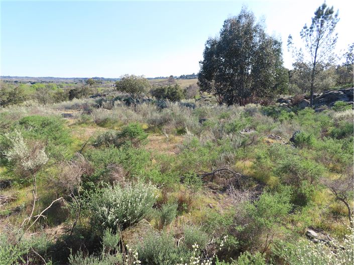 Image No.14-Property for sale