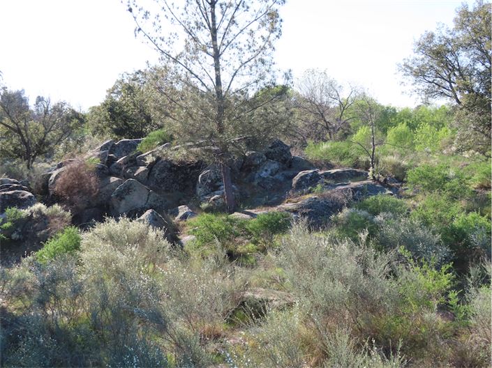 Image No.15-Property for sale