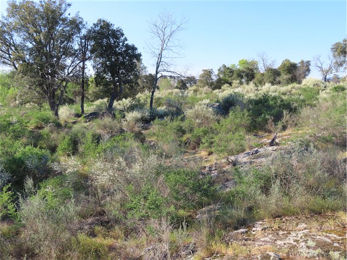 Image No.16-Property for sale