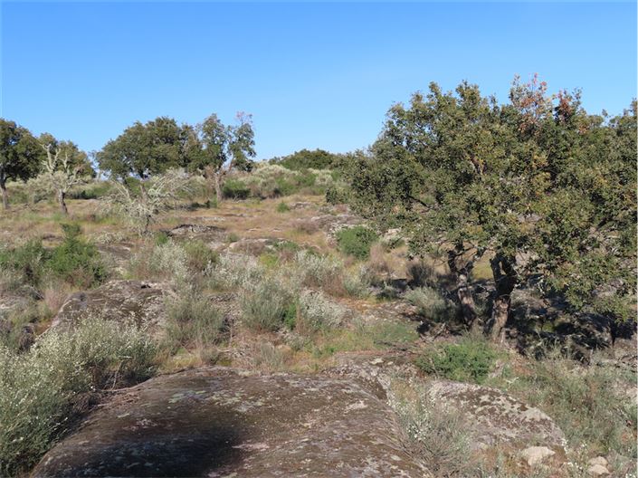 Image No.17-Property for sale