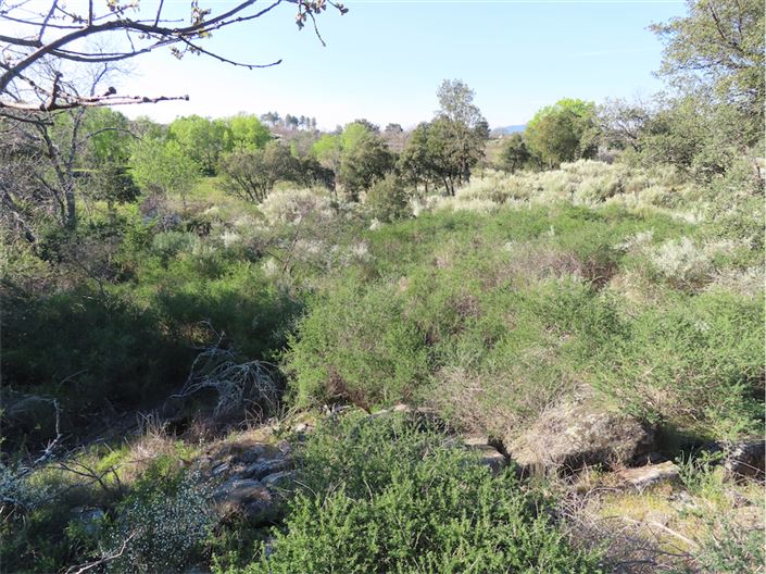 Image No.19-Property for sale