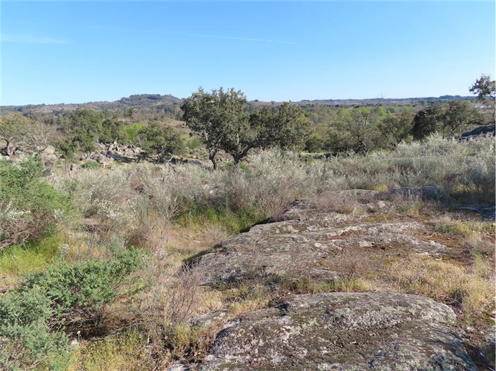 Image No.4-Property for sale