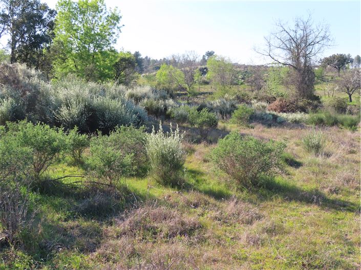 Image No.9-Property for sale