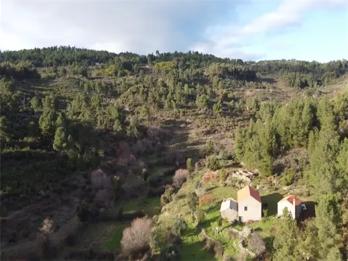 Image No.3-Propriété à vendre à Castelo Branco