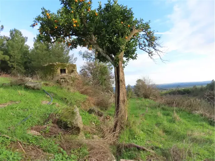 Image No.21-Propriété à vendre à Castelo Branco