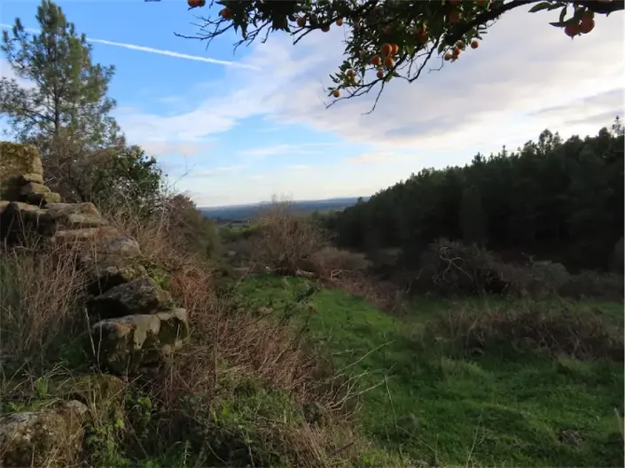 Image No.22-Propriété à vendre à Castelo Branco