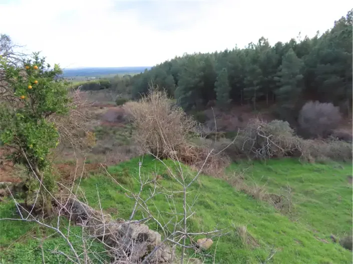 Image No.23-Propriété à vendre à Castelo Branco