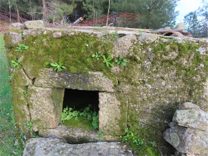 Image No.24-Propriété à vendre à Castelo Branco