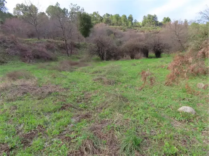 Image No.25-Propriété à vendre à Castelo Branco