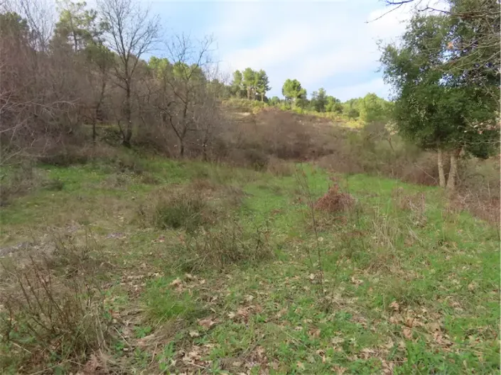Image No.26-Propriété à vendre à Castelo Branco