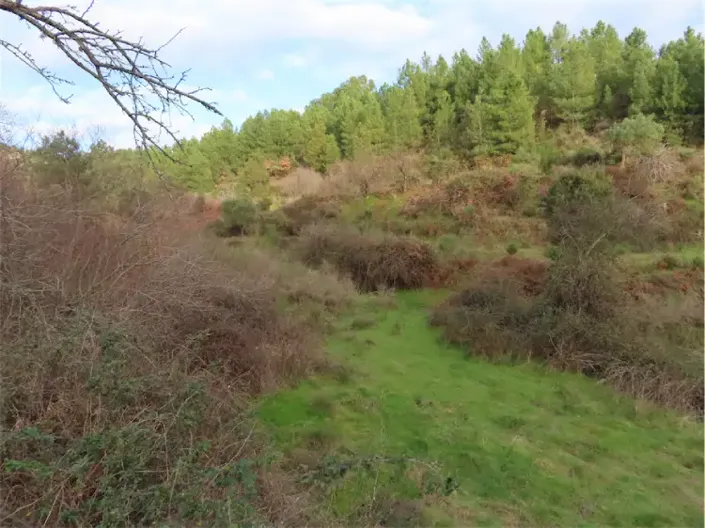 Image No.27-Propriété à vendre à Castelo Branco