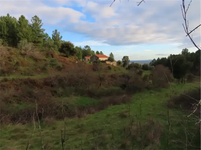 Image No.28-Propriété à vendre à Castelo Branco