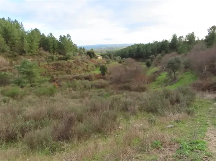 Image No.29-Propriété à vendre à Castelo Branco