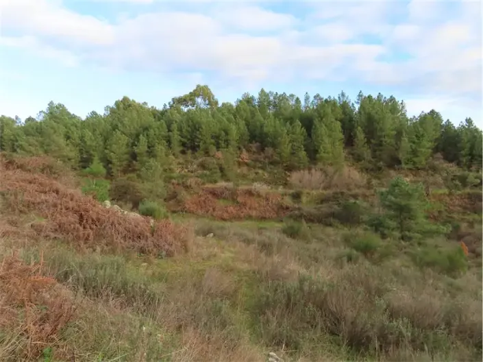 Image No.30-Propriété à vendre à Castelo Branco