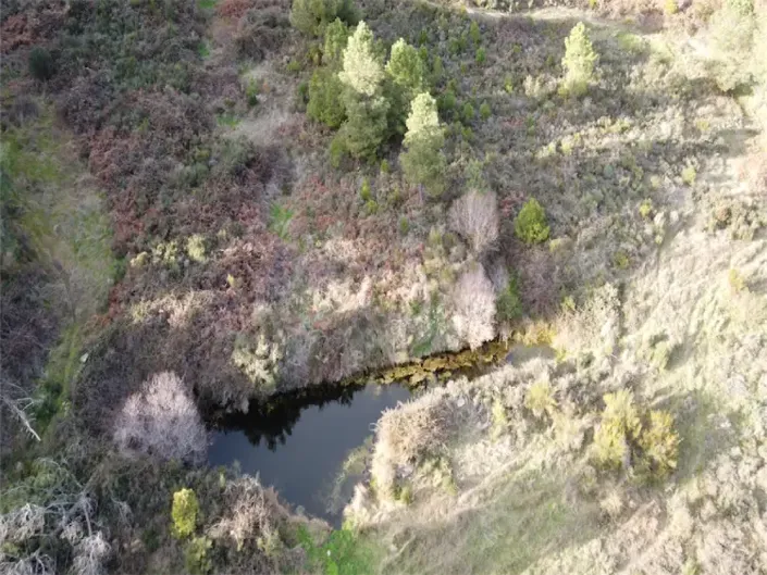 Image No.4-Propriété à vendre à Castelo Branco