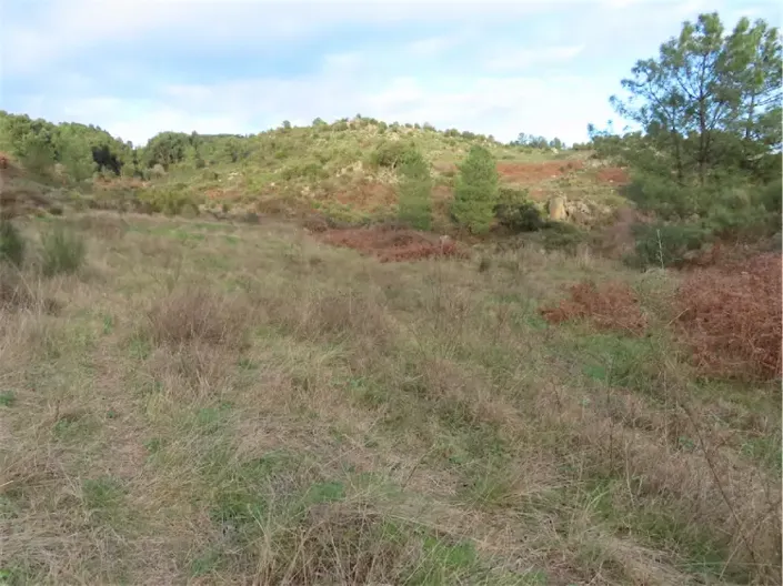 Image No.31-Propriété à vendre à Castelo Branco