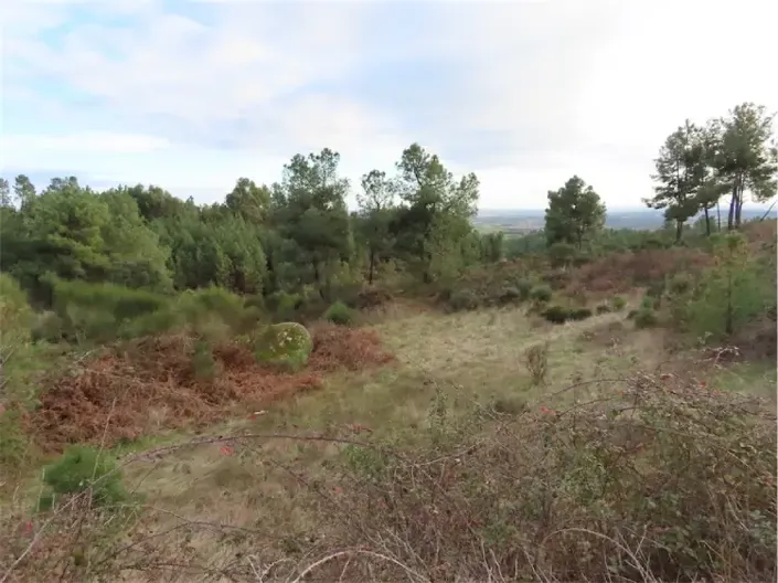 Image No.32-Propriété à vendre à Castelo Branco