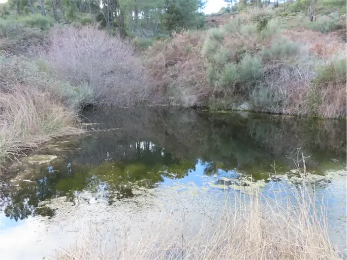 Image No.33-Propriété à vendre à Castelo Branco