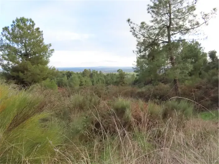 Image No.34-Propriété à vendre à Castelo Branco