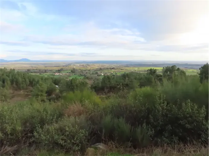 Image No.35-Propriété à vendre à Castelo Branco