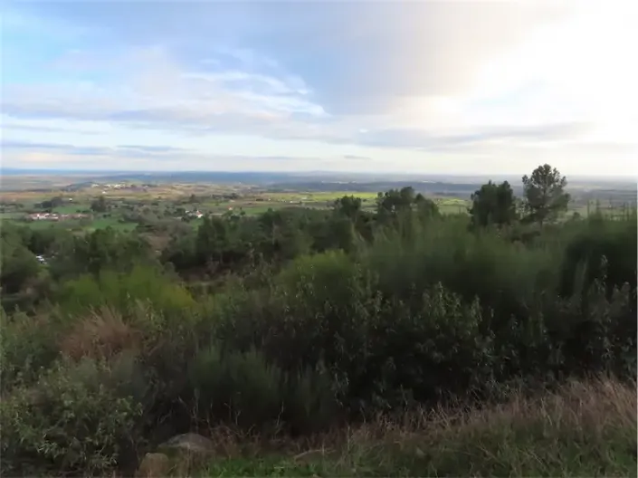 Image No.36-Propriété à vendre à Castelo Branco