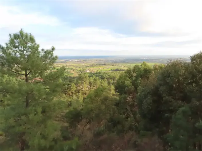 Image No.37-Propriété à vendre à Castelo Branco