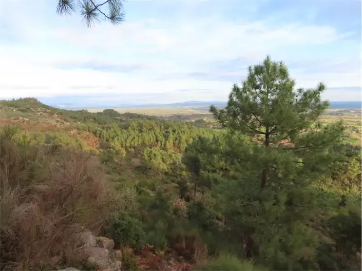 Image No.38-Propriété à vendre à Castelo Branco