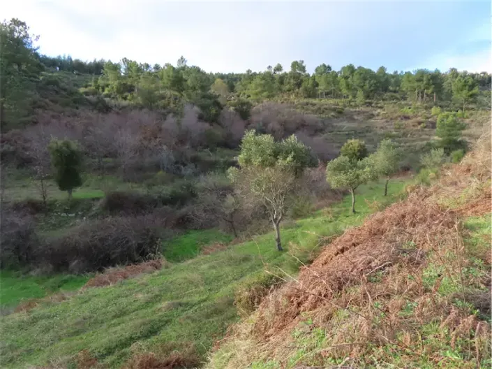 Image No.5-Propriété à vendre à Castelo Branco