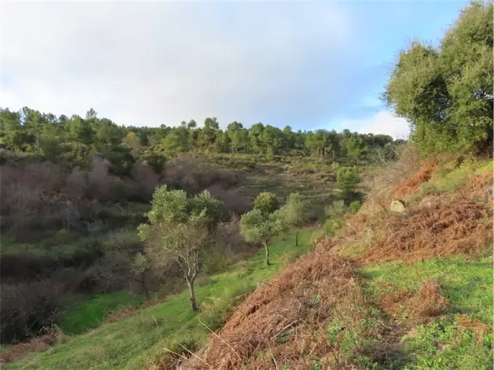 Image No.6-Propriété à vendre à Castelo Branco