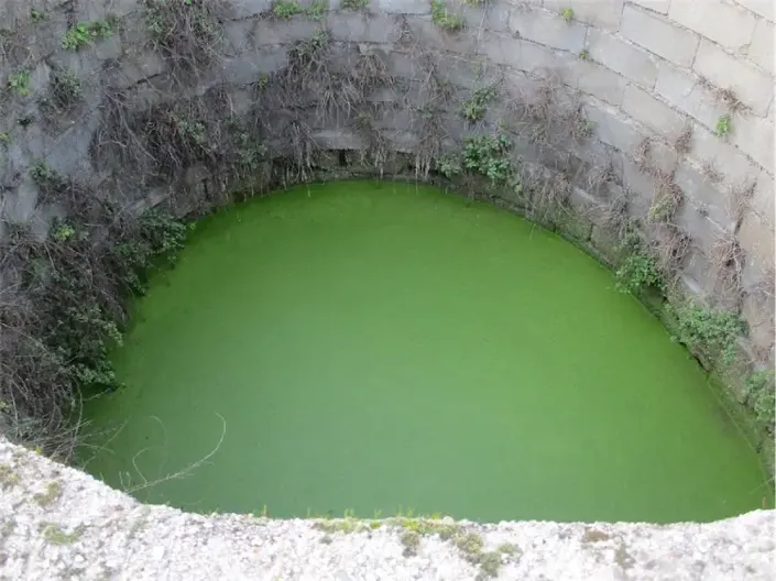 Image No.16-Propriété à vendre à Castelo Branco