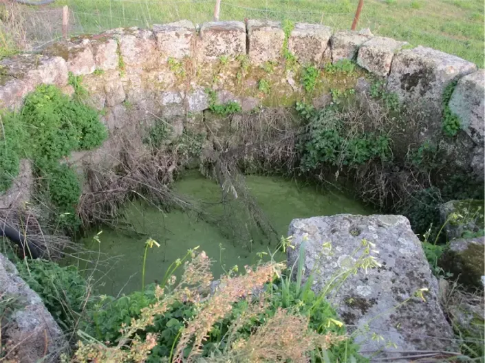 Image No.17-Propriété à vendre à Castelo Branco