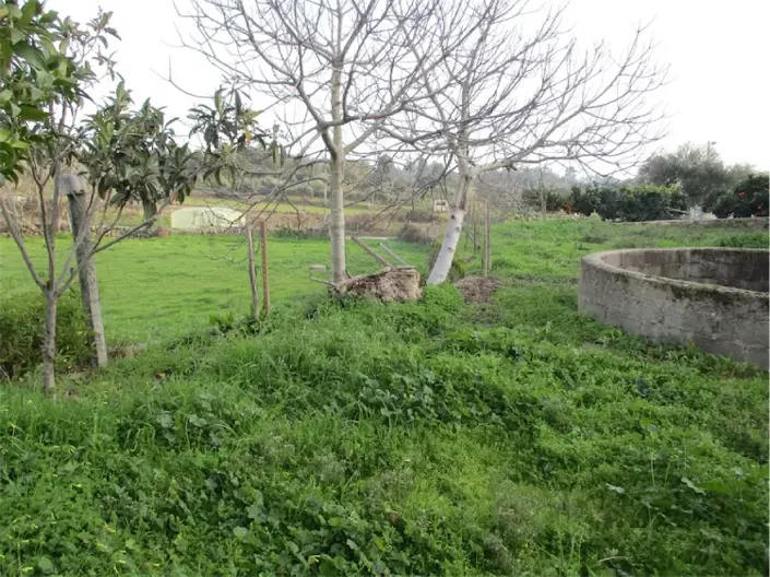 Image No.18-Propriété à vendre à Castelo Branco