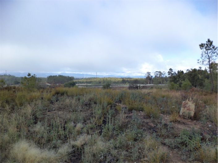 Image No.10-Propriété à vendre à Castelo Branco