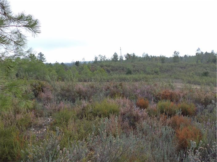 Image No.11-Propriété à vendre à Castelo Branco