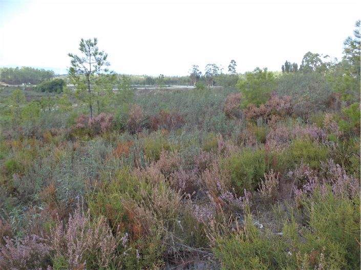 Image No.13-Propriété à vendre à Castelo Branco