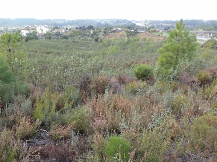 Image No.14-Propriété à vendre à Castelo Branco