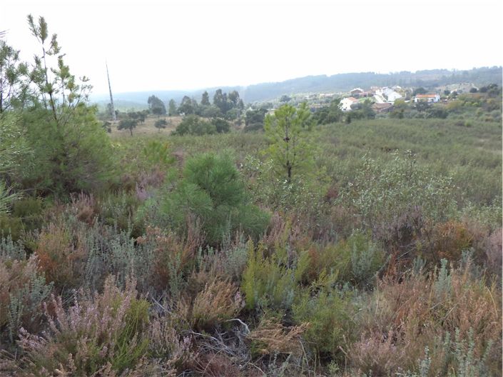 Image No.15-Propriété à vendre à Castelo Branco