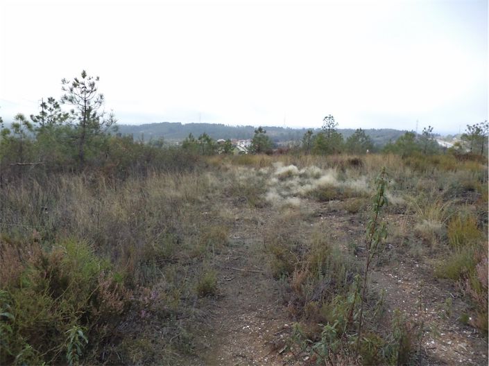 Image No.16-Propriété à vendre à Castelo Branco