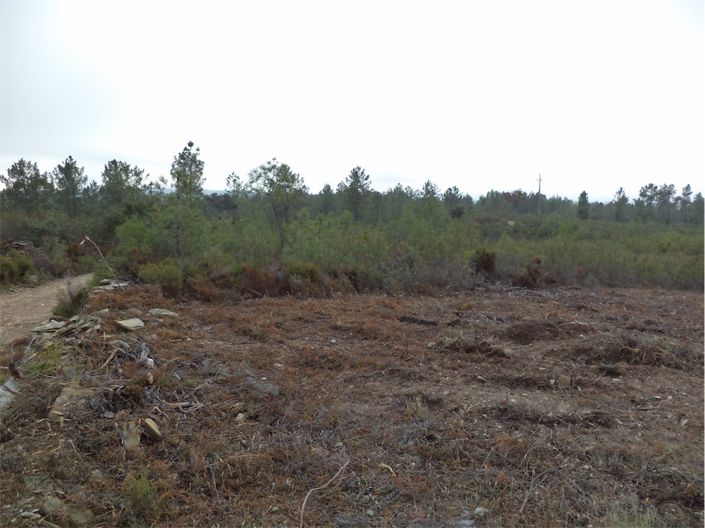 Image No.17-Propriété à vendre à Castelo Branco