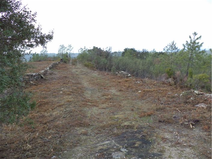 Image No.18-Propriété à vendre à Castelo Branco